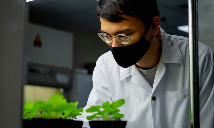 【深度專題】AI 幫我們從植物中找藥!Nanyang Biologics:用 AI+自然加速新藥開發的生技新創
